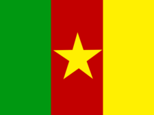 Flag of Cameroon Flag