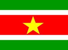 Flag of Suriname Flag