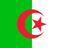 Flag of Algeria Flag