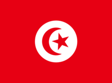 Flag of Tunisia Flag