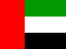 Flag of United Arab Emirates Flag