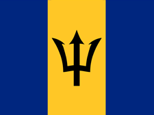 Flag of Barbados Flag