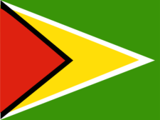 Flag of Guyana Flag