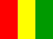 Flag of Guinea Flag
