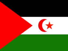 Flag of Western Sahara Flag