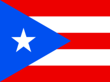 Flag of Puerto Rico Flag
