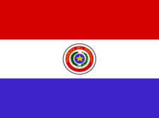 Flag of Paraguay Flag