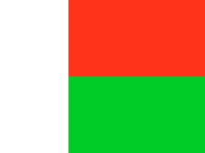 Flag of Madagascar Flag