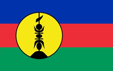 Flag of New Caledonia Flag